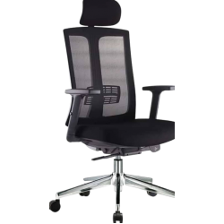 Executive Office Chair